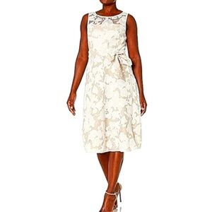 Jessica Howard Embroidered Mesh Cream Lace Sleeveless Dress Sz 6